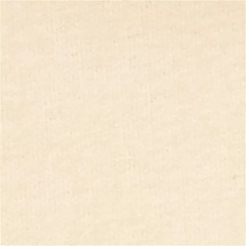Carpet: Taupe, 14 x 20
